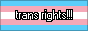 The transgender flag.